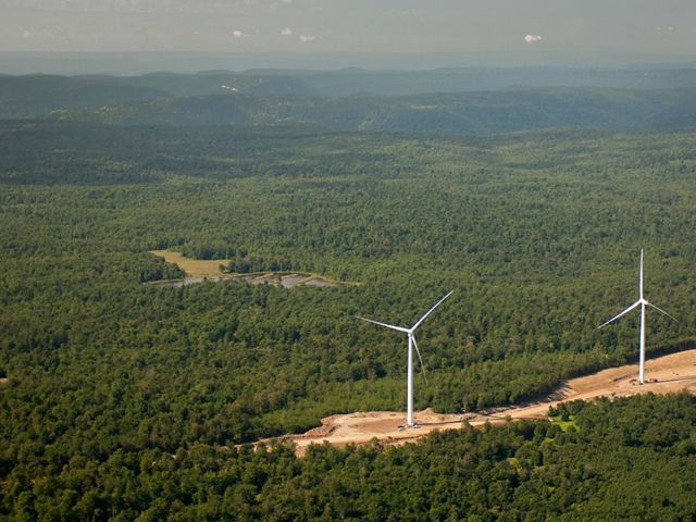 TNC in China is exploring and practicing nature-based solutions to climate change.