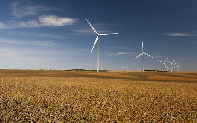 Photo of wind turbines on farm fields.