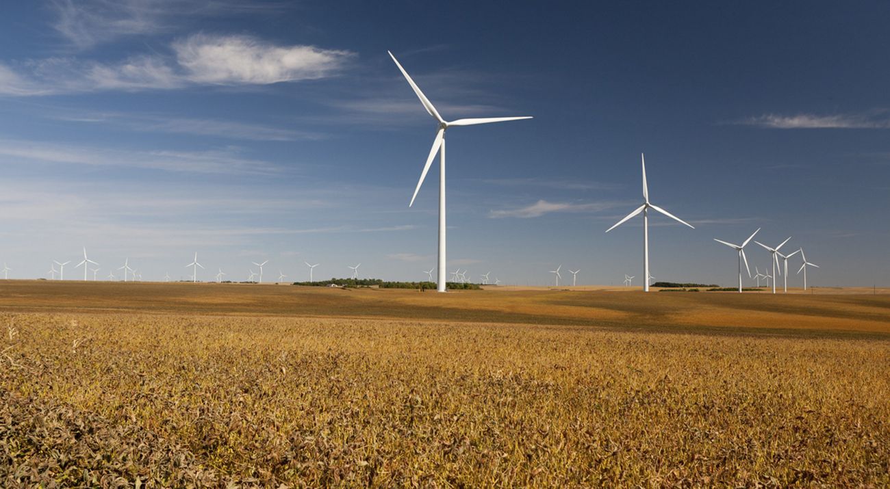 Photo of wind turbines on farm fields.