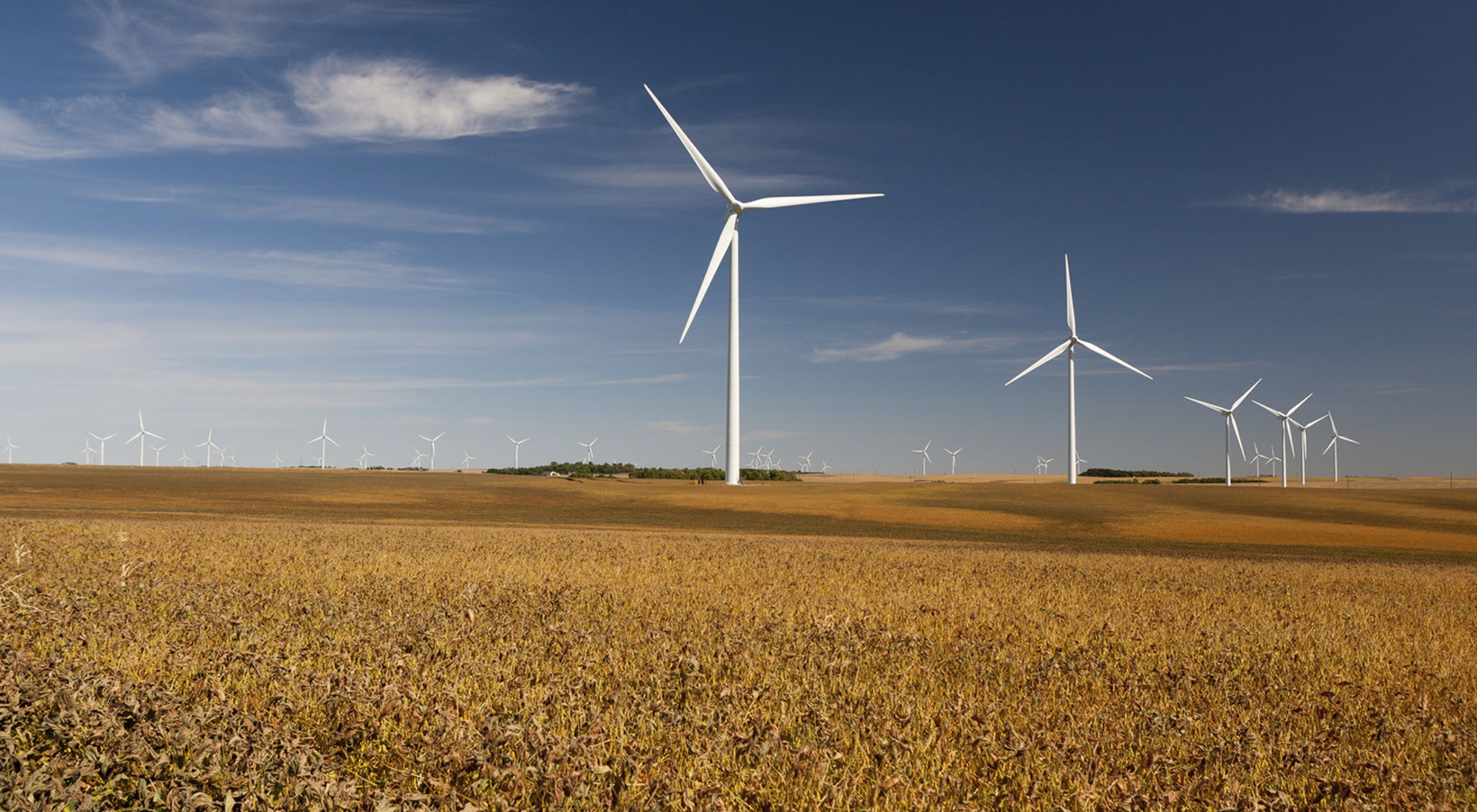 Wind farm in field