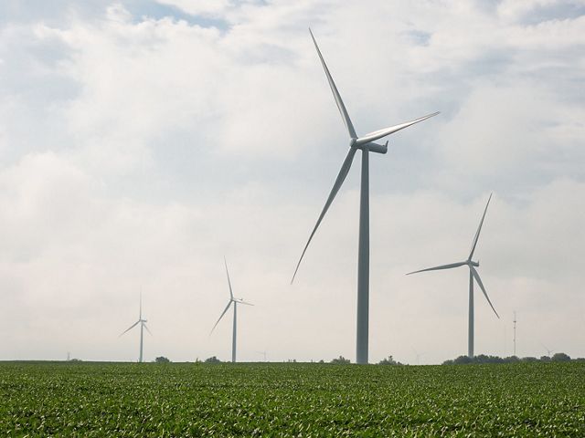 Windmills in a green farm field. 