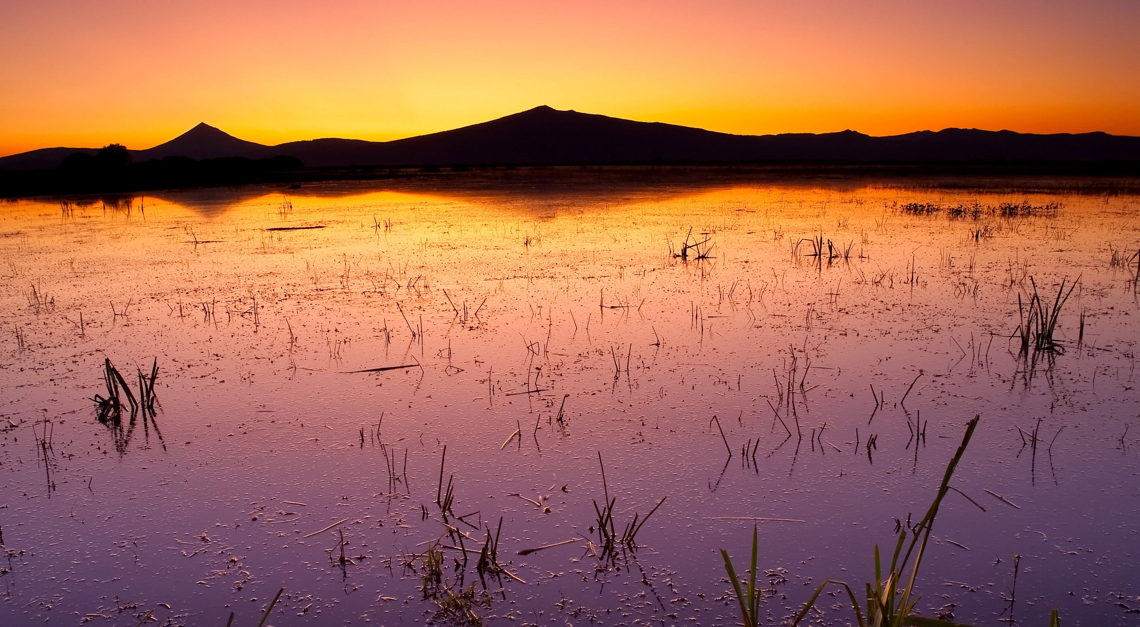 The Williamson River Delta preserve in Oregon's Klamath Basin is considered one of the most pioneering wetland restoration projects in the West.