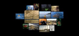 Collage de fotos ganadoras del Concurso mundial de fotografía 2022 de The Nature Conservancy.