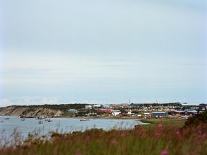 A summer landscape image with flowers in the foreground, overlooking Bristol Bay with boats on the water and the fishing town Naknek in the background.