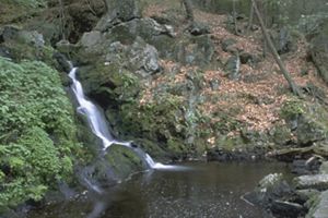 A narrow waterfall trickles over mossy rocks into a still pool surrounded by forest.