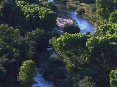 Aerial view of a windy, blue river, lined with big, green trees.