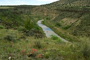 View of the Upper Verde River, a stream of water with elevated vegetation on either side.