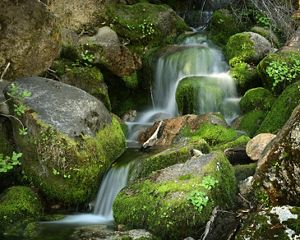 A misty waterfall over rounded, mossy boulders at Tiltill Creek on the path to Rancheria Falls at Hetch Hetchy Reservoir located inside Yosemite National Park, Sierra Nevada, California.