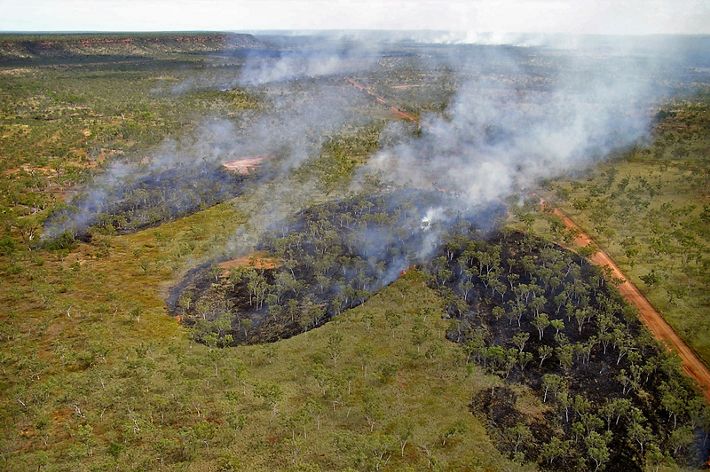 An aerial view shows smoke emerging from a big forest.