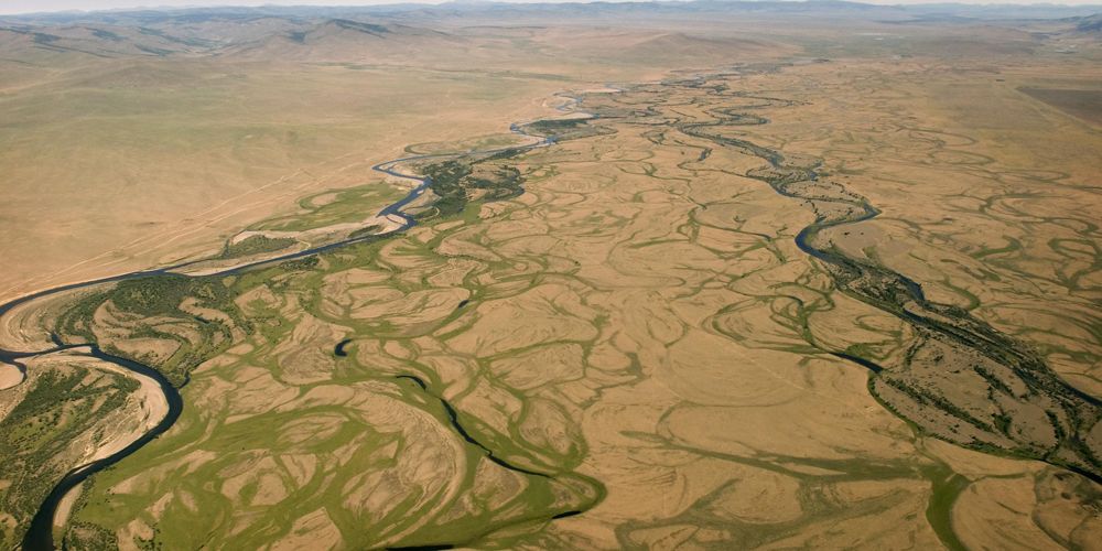 aerial view of brown and green grassland with meandering rivers
