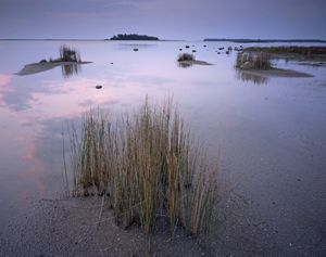 A blue and purple dawn is reflected onto calm water. Sand and some clumps of short, straight grasses are visible throughout the foreground and horizon of the photo.