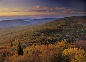 Dawn overlooking mountains with yellow, green and orange foliage with a pink and purple sky in the distance.