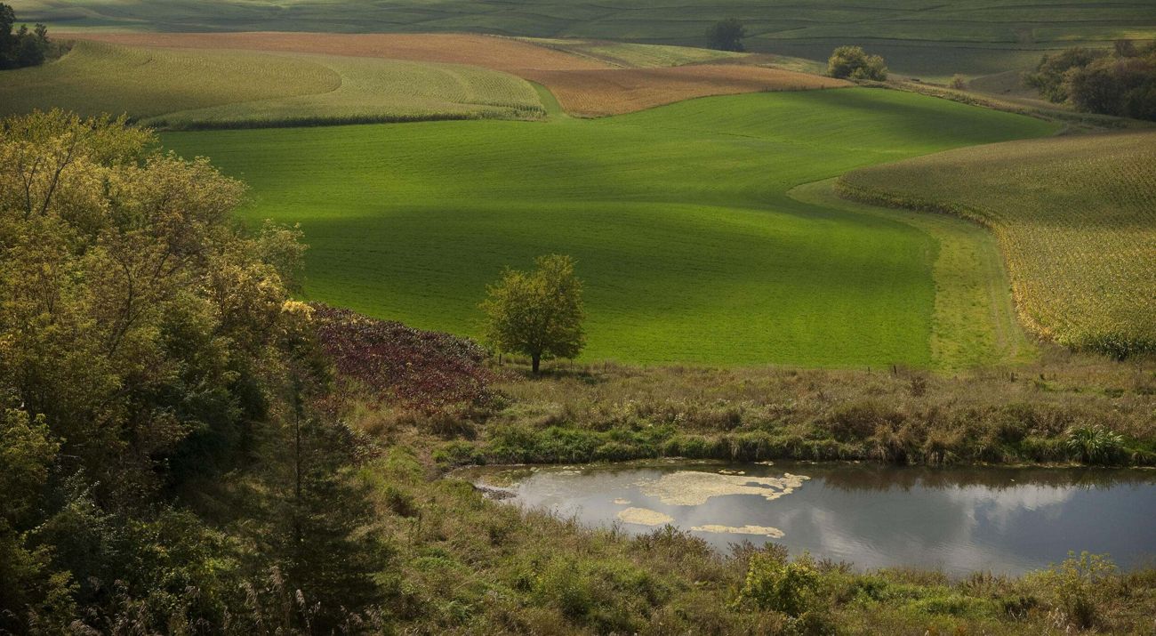Aerial image of farmland in southern Minnesota.