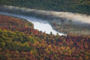 River surrounded by trees in the fall. 