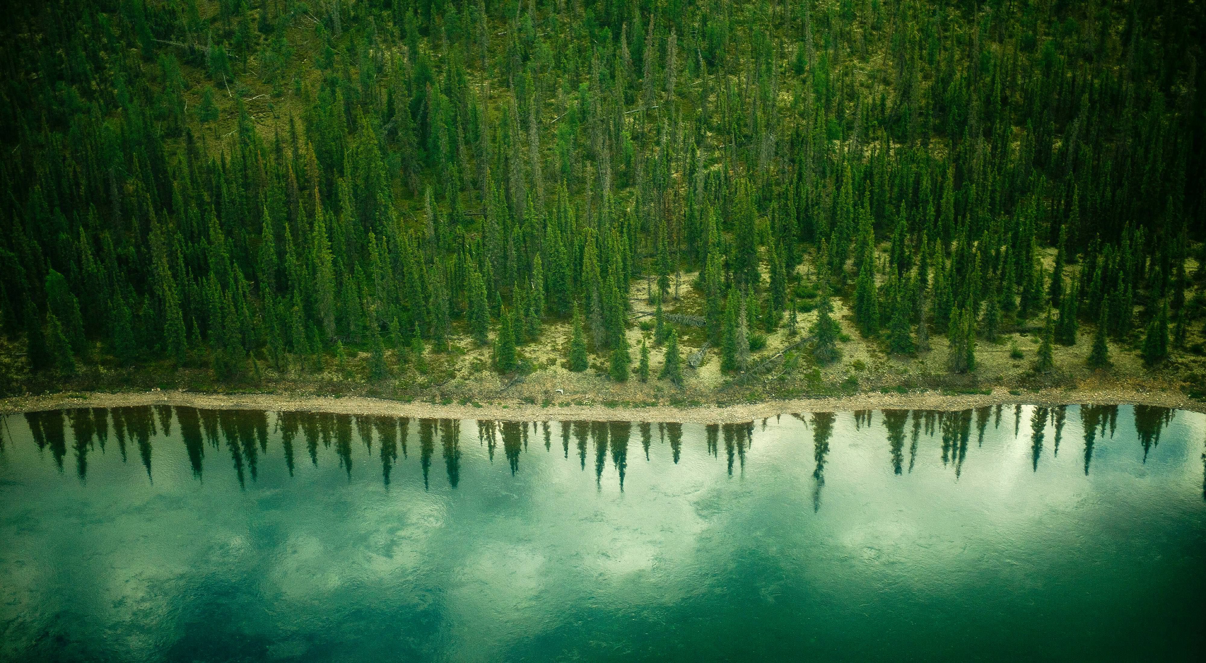 an aerial view of trees and water in the northwest territories