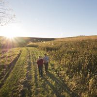 Two people walk along a wide grassy swale next to a remnant prairie. The sun has just risen over the hill in the background.