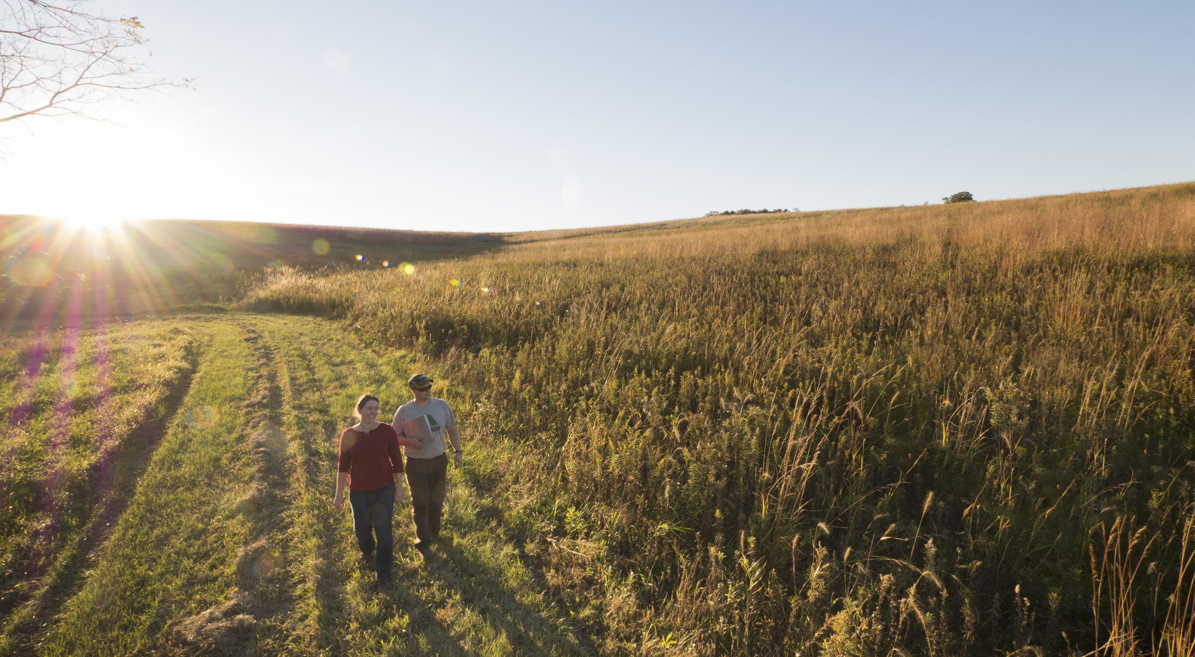 A man and woman walk along a mowed path in a restored prairie in Wisconsin as the sun rises behind them.