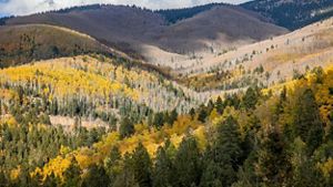View of rolling hills covered in autumn-colored forests.
