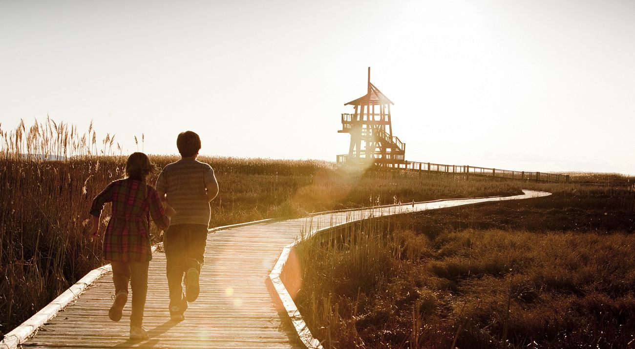 Kids running on a boardwalk at the Great Salt Lake Shorelands preserve.