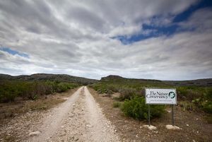 A gravel road with sign reading The Nature Conservancy cuts through arid brushland.