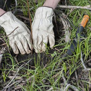 Closeup of two gloved hands working in dirt.