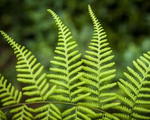 Invertir en la naturaleza para un futuro resiliente
