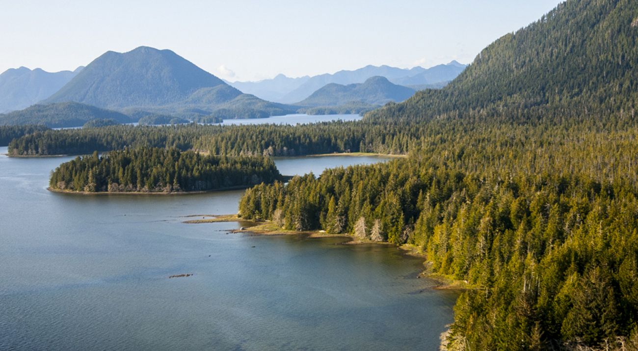 An aerial view features a large body of water surrounded by dense forests.