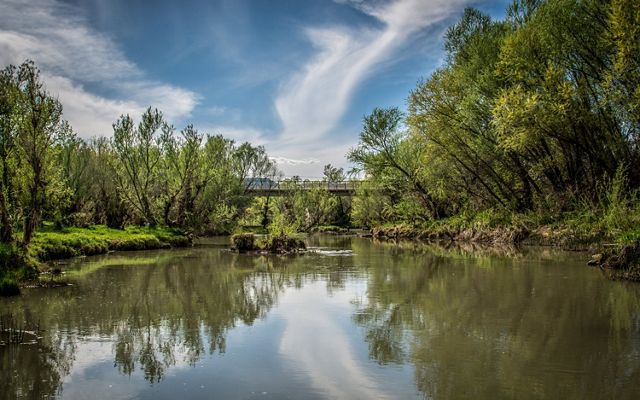 View of a river on a sunny day, reflecting the sky and tall green trees that surround it.