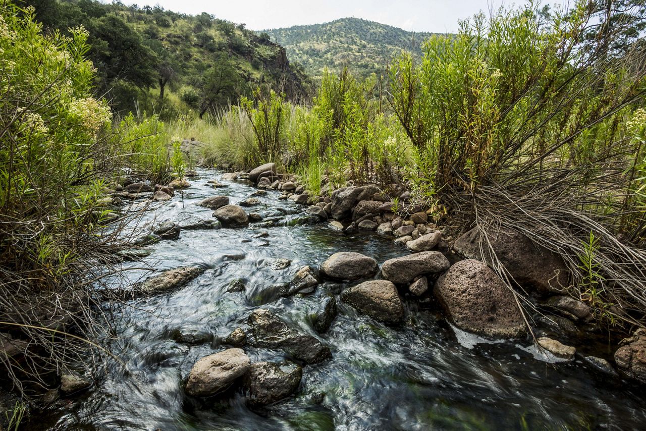 Davis Mountains Preserve The Nature Conservancy in Texas