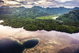 Aerial image of the Yela Forest on Kosrae Island, Micronesia. 