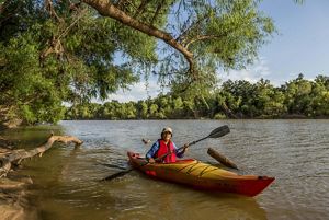 A woman in a hat paddles in a yellow kayak along a tree lined river.