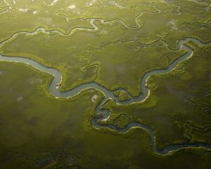 Aerial view of a river with green landscape.