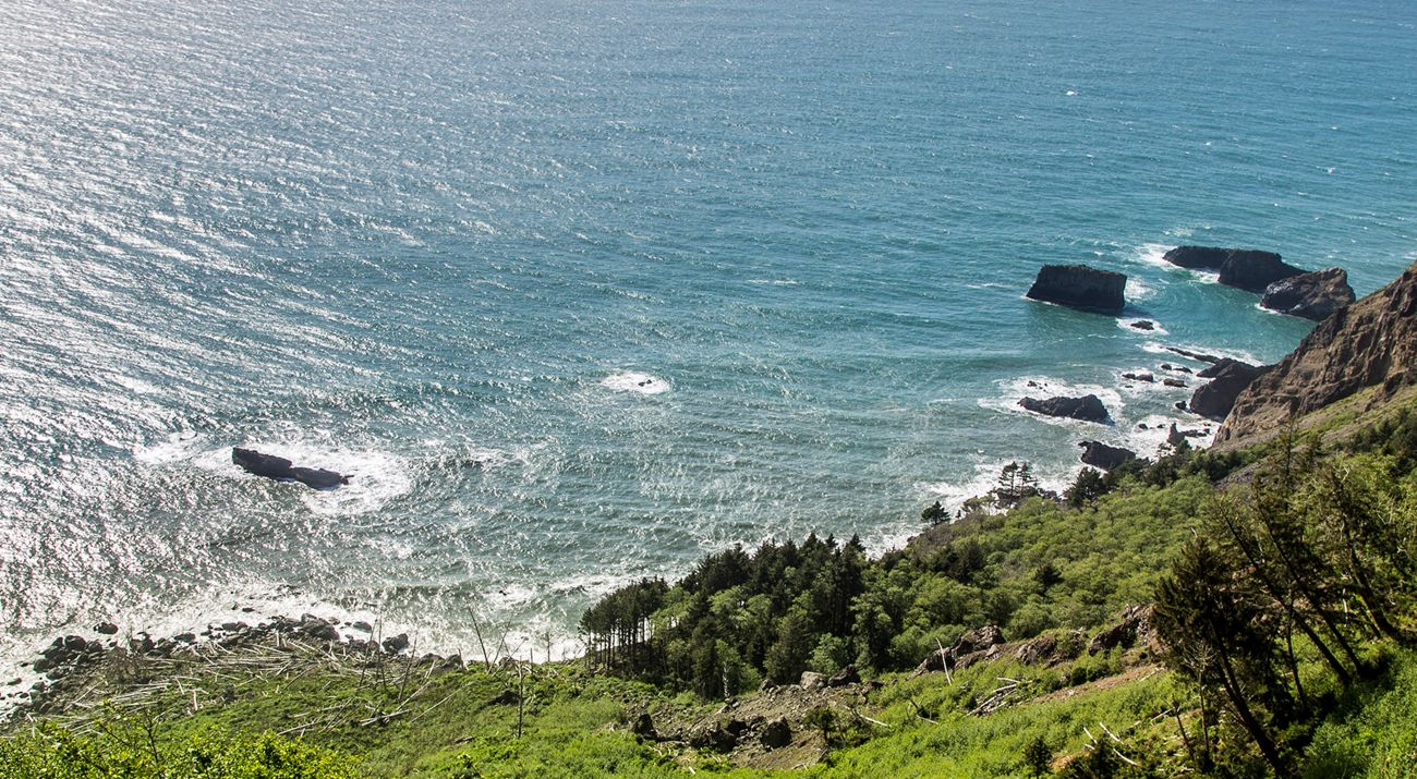 Cascade Head Preserve, Oregon