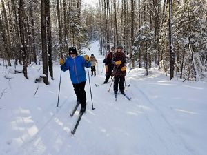 Cross-country skiers on snowy trail bordered by conifer trees with sun glinting on snow at Catherine Wolter Wilderness Area.