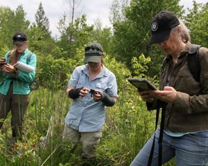 Three women stand in a bog filled with shrubbery; two are holding and observing turtles, and the other holds an iPad.
