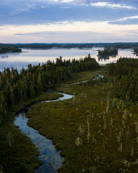 View of a river running through a woodland.
