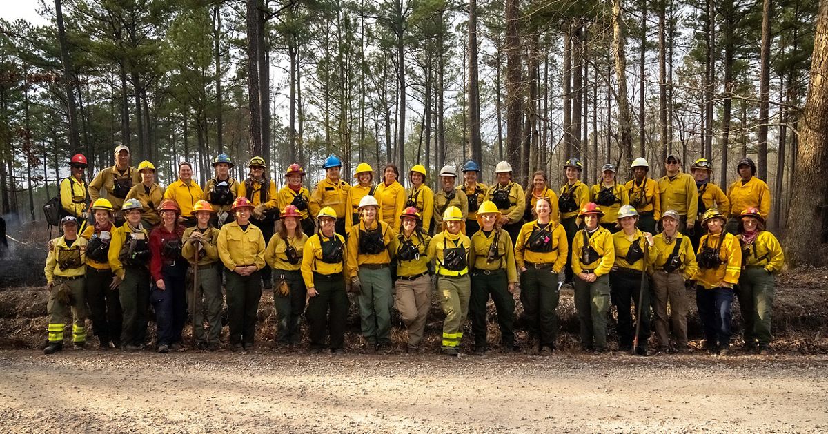 Wildland Fire Leadership: Red Cup - Yellow Cup - Green Cup
