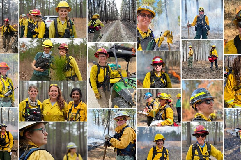 A collage of portraits and candid photos of female fire professionals taken during the WTREX learning exchange.