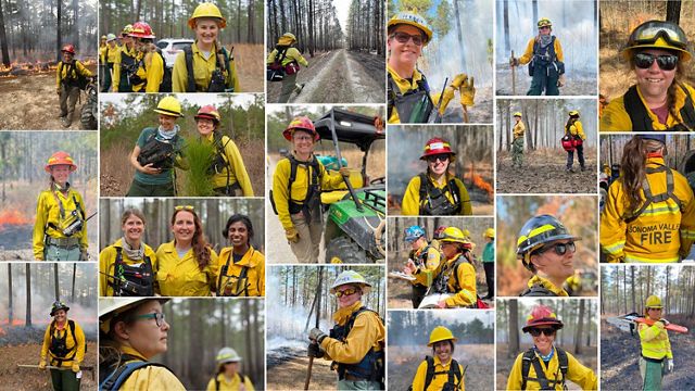 A collage of portraits and candid photos of female fire professionals taken during the WTREX learning exchange.