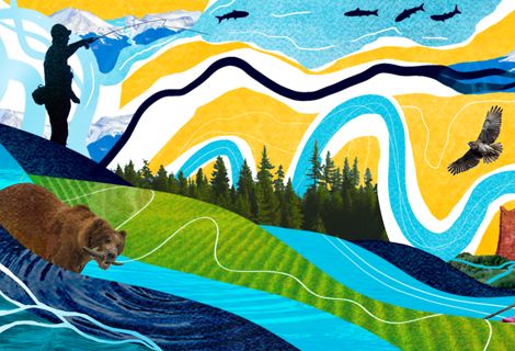 An illustration of rivers, a bear, a person fishing, and trees.