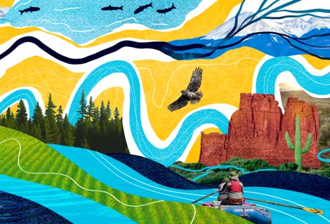 An illustration of rivers, a bear, a person fishing, and trees.