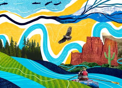 An illustration of rivers, a bear, a person fishing, and trees.