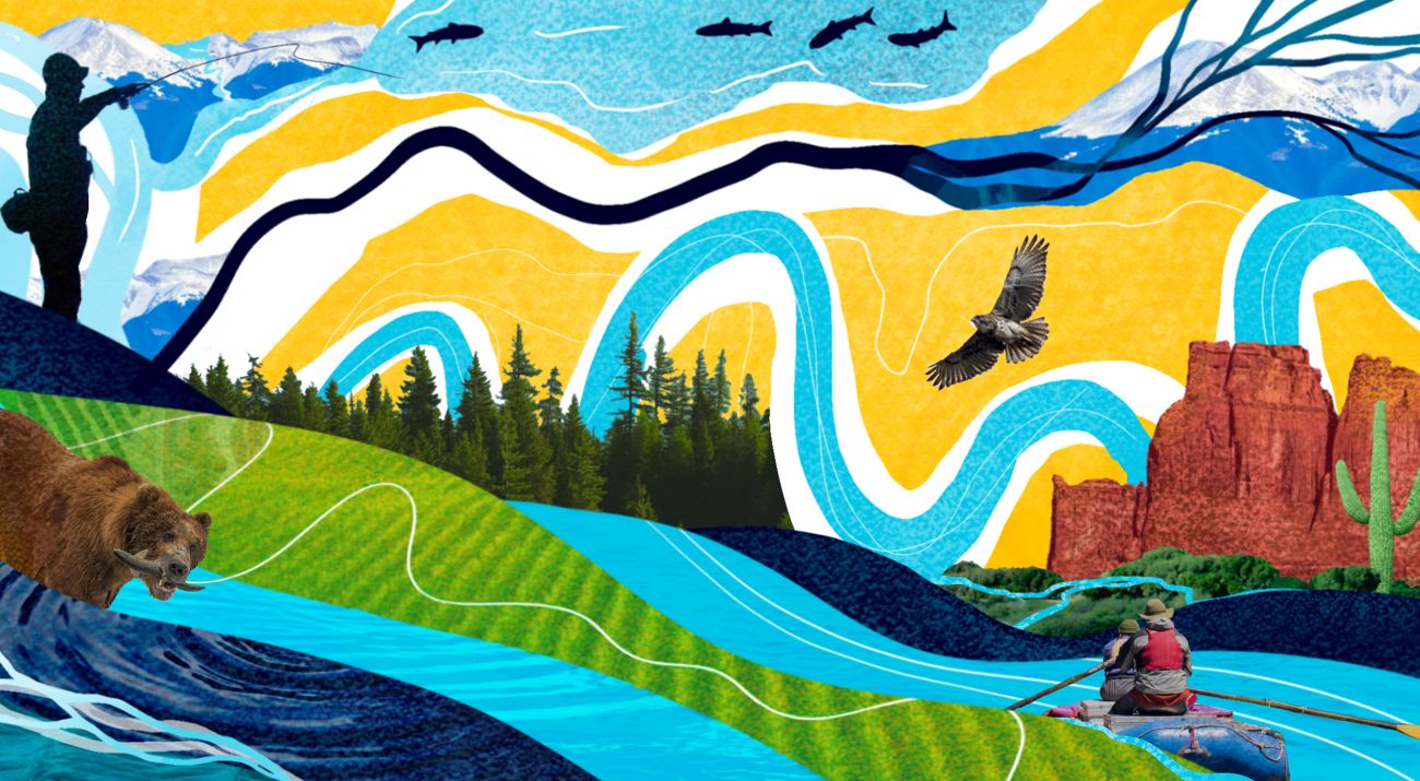 Blue, green, and yellow illustrations of animals and farmland.