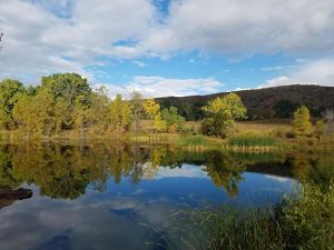A flat, calm pond is surrounded by autumn-colored trees.