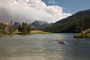 River running through forested landscape with a cloudy sky. 