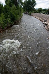 River with park on one bank and thick brush and plants on the other.