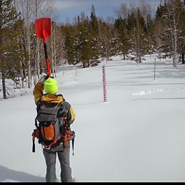 A scientist standing in a forest covered in snow.