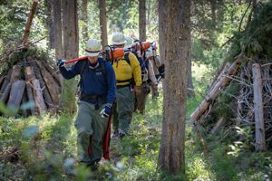 A group of people walk through a forest with tools.