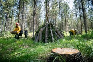 A group of fire practitioners build a log pile to burn.