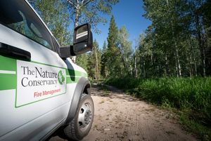 An image of a fire management truck in a forest.